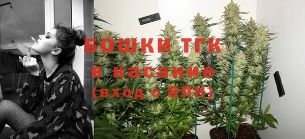 стафф Осинники