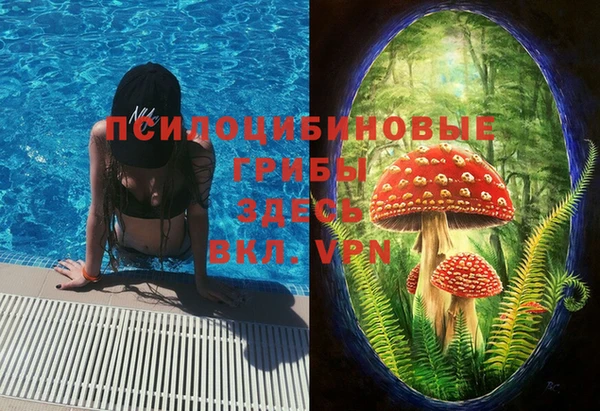 каннабис Осташков