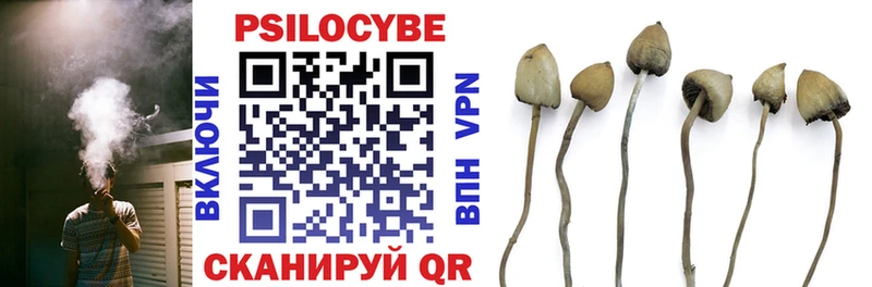 гидра онион  Тбилисская  Галлюциногенные грибы Cubensis 